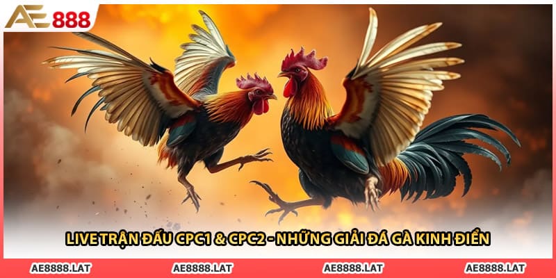 Live Trận Đấu CPC1 & CPC2 - Những Giải Đá Gà Kinh Điển