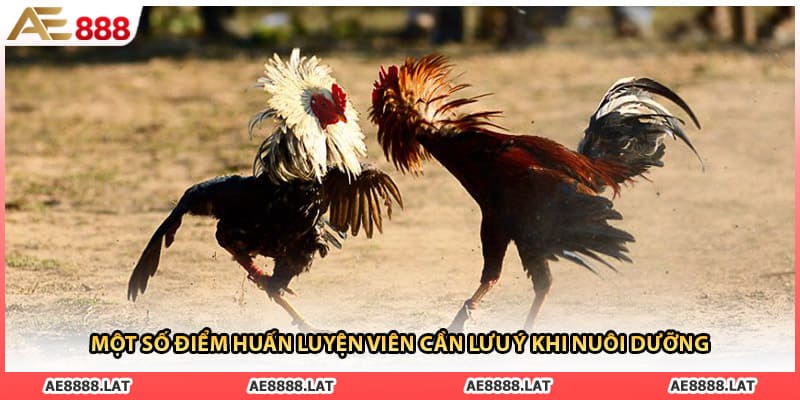 Một số điểm huấn luyện viên cần lưu ý khi nuôi dưỡng