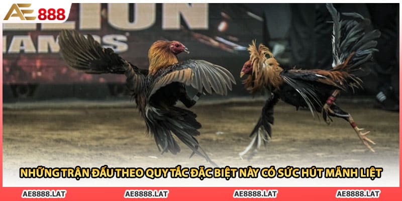 Những trận đấu theo quy tắc đặc biệt này có sức hút mãnh liệt